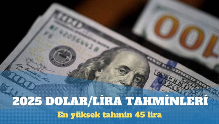 Yabancı bankaların 2025 dolar/lira tahminleri