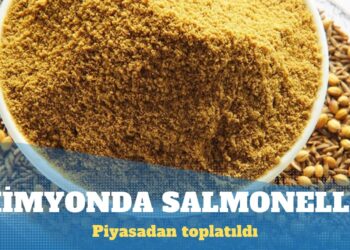 Finlandiya’ya ihraç edilen kimyonda salmonella
