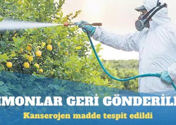Türkiye’den Avrupa’ya giden limonlar ‘riskli’ denilerek geri gönderildi