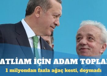 1 milyondan fazla ağaç kesti, doymadı: 4 ilden ağaç kesmek için işçi getirdi