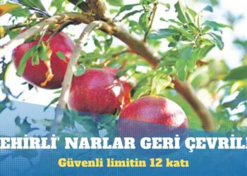 Türkiye’den ithal edilen narda ‘pestisit kokteyli’