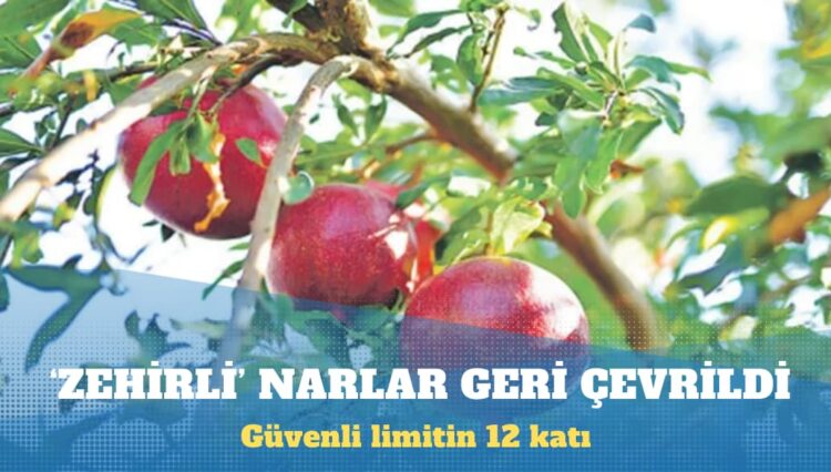 Türkiye’den ithal edilen narda ‘pestisit kokteyli’