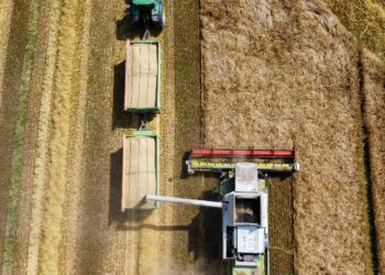 Tahıl üretimi geriledi