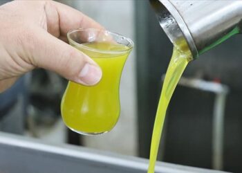 Tohum yağı karıştırılan 17 zeytinyağı