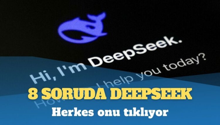 8 soruda DeepSeek