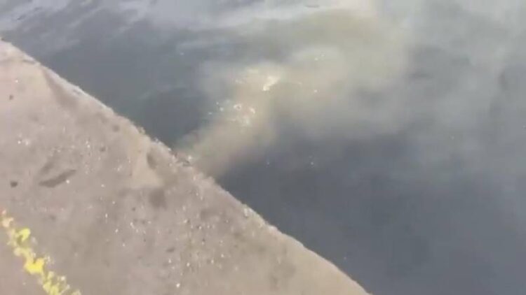 Bakanlıktan İSKİ’ye 1 milyon 337 bin lira ceza: Kanalizasyon suyu denize döküldü