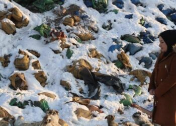 25 ülkeye ihracat yapan şirket konkordato ilan etti