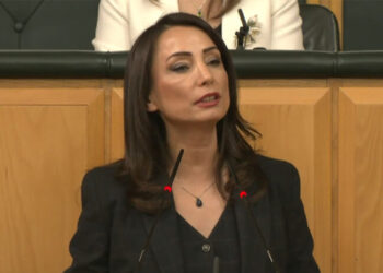 Öcalan ikinci İmralı görüşmesinde neler dedi: DEM Parti açıkladı