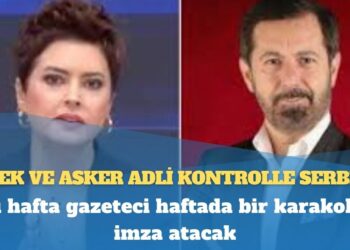 Gözaltına alınan Serhan Asker ve Seda Selek serbest bırakıldı