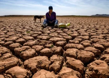 Üretim maliyetinde Viyana kapısına dayandık