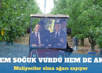 Elma bahçelerine maliyeci gönderen Mehmet Şimşek ağaçları tek tek saydırıp vergi istiyor