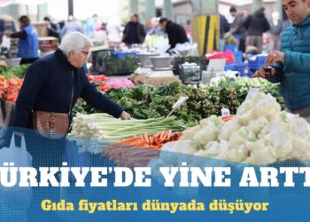 Gıda fiyatları dünyada düşerken Türkiye’de yine arttı