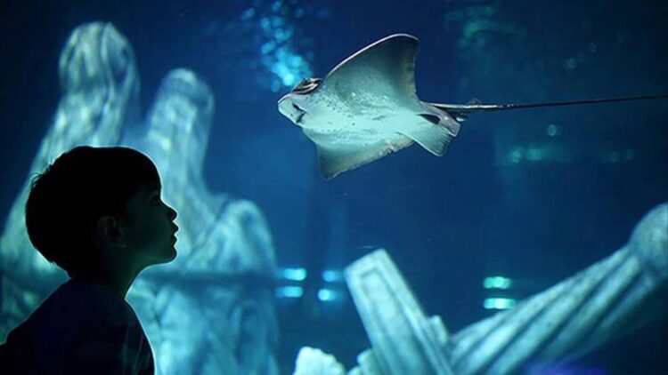 İstanbul’da üç eğlence merkezi kalıcı olarak kapandı