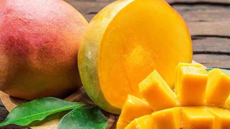 Mango fidanıyla vergi kaçırdı