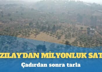 120 bin metrekarelik zeytinlik: Kızılay, İzmir’in Karaburun ilçesindeki arazisini 185 milyon TL’ye satışa çıkardı