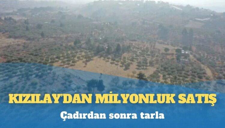 120 bin metrekarelik zeytinlik: Kızılay, İzmir’in Karaburun ilçesindeki arazisini 185 milyon TL’ye satışa çıkardı