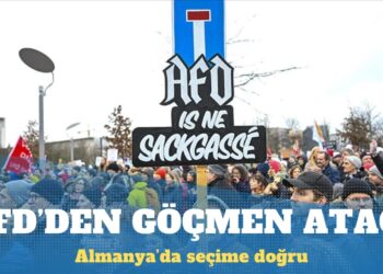 Aşırı sağcı AfD Türkiye kökenlilerin oyunu istiyor