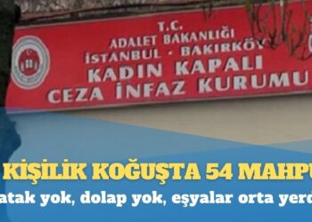 Bakırköy Kadın Cezaevi bir felaket: 12 kişilik koğuşta 54 mahpus; fareler ve böcekler ortalıkta cirit atıyor