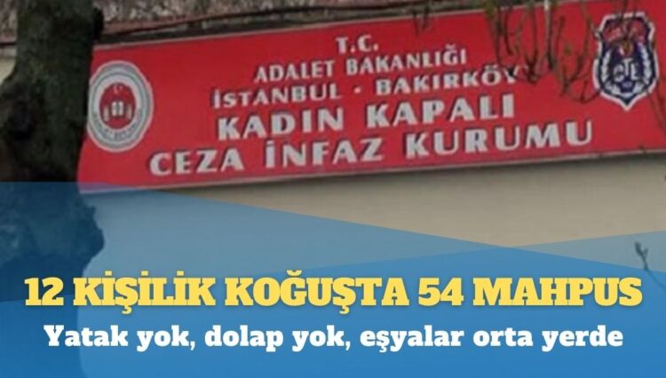 Bakırköy Kadın Cezaevi bir felaket: 12 kişilik koğuşta 54 mahpus; fareler ve böcekler ortalıkta cirit atıyor