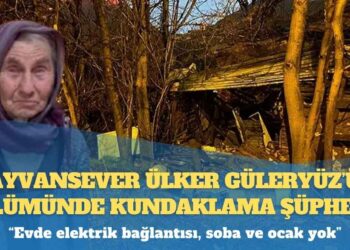 Hayvansever Ülker Güleryüz’ün ölümünde kundaklama şüphesi: ‘Evde elektrik bağlantısı, soba ve ocak yok’