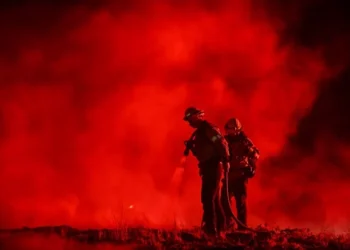 Kaliforniya valisi, yangınlar nedeniyle Kongre’den 40 milyar dolar istedi