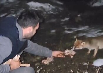 Panama’da göçmenleri taşıyan tekne battı, 1 çocuk öldü