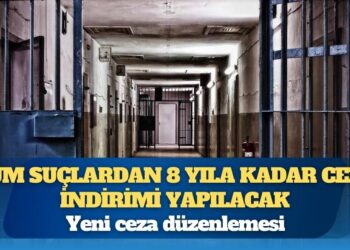 Nuray Babacan: Bal gibi de af