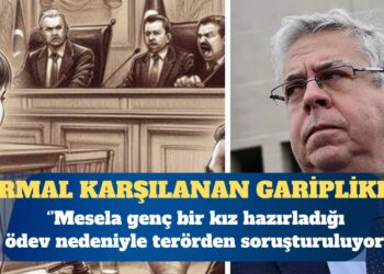AP Türkiye Raportörü: Mesela genç bir kız hazırladığı ödev nedeniyle terörden soruşturuluyor