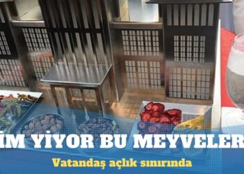 Erdoğan’a göre, ekonomi programı meyvelerini veriyor