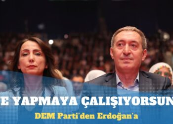 DEM Parti’den Erdoğan’a: Ne yapmaya çalışıyorsunuz?