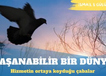 Hizmetin yaşanabilir bir dünya için ortaya koyduğu çabalar