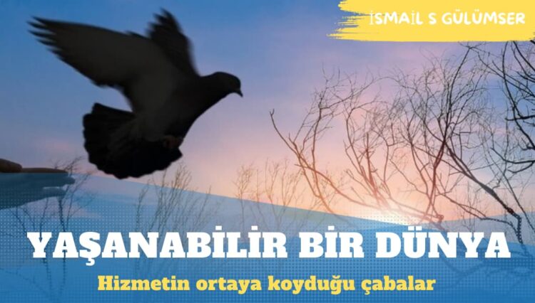 Hizmetin yaşanabilir bir dünya için ortaya koyduğu çabalar