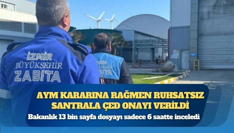 Diyarbakır’da 8 Mart’ta kadın cinayeti; AVM’de otururken silahla vuruldu