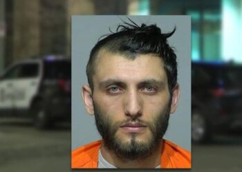 ABD cani Türk’ü konuşuyor