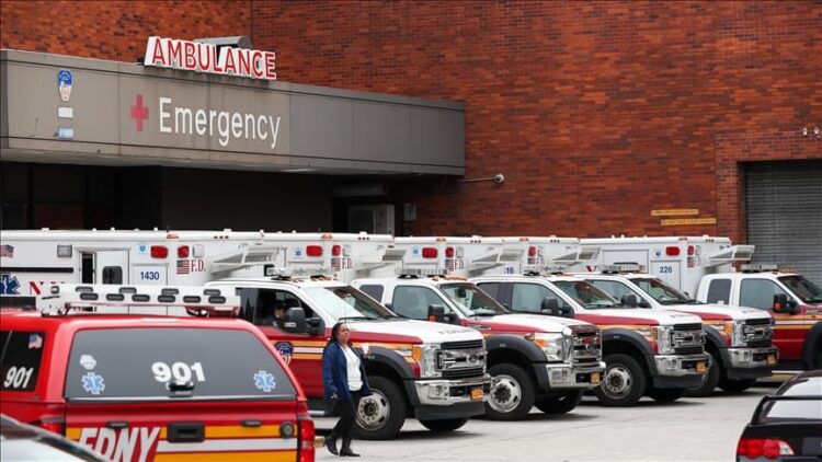 Köpek silahla sahibini vurdu