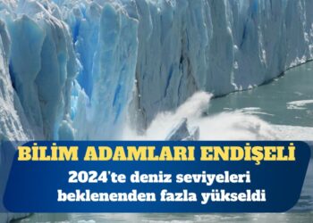 NASA: 2024’te deniz seviyeleri beklenenden fazla yükseldi