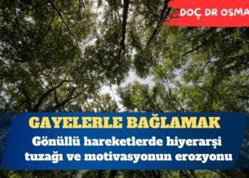 Gönüllü hareketlerde hiyerarşi tuzağı ve motivasyonun erozyonu