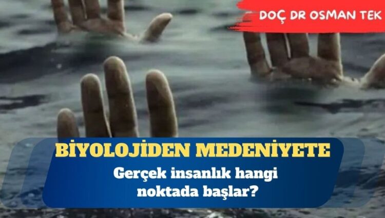 İnsan ve hayat mertebeleri: Biyolojiden medeniyete