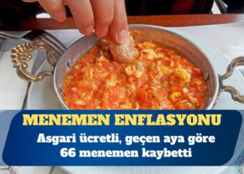 Asgari ücretli, geçen aya göre 66 menemen kaybetti