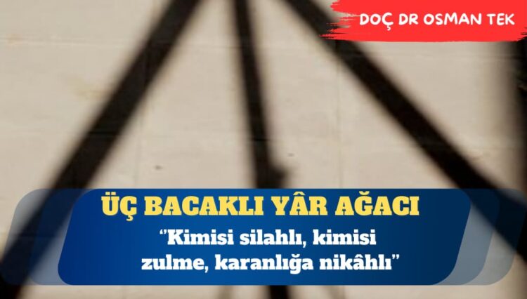Yâr ağacı