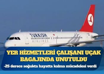 THY’de skandal: Yer hizmetleri çalışanı uçak bagajında unutuldu