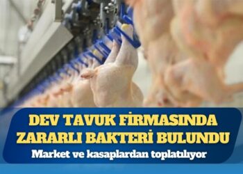 Türkiye’nin dev tavuk firmasında zararlı bakteri bulundu: Market ve kasaplardan toplatılıyor