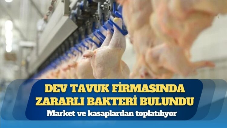 Türkiye’nin dev tavuk firmasında zararlı bakteri bulundu: Market ve kasaplardan toplatılıyor