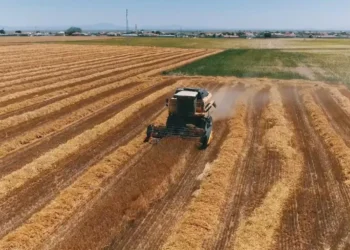Tarımda alarm zilleri: Son 65 yılın en kurak dönemi yaşanıyor