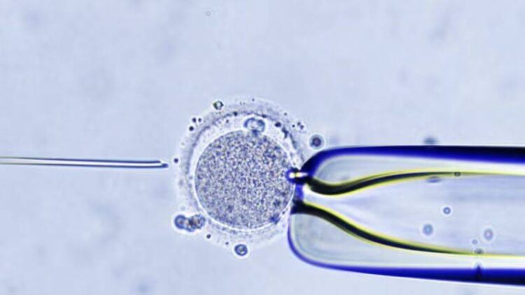 Tüp bebek merkezinde embriyoların karışması sonucu bir kadın, başkasının bebeğini doğurdu