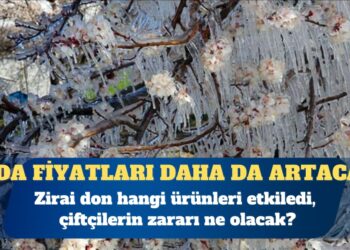 Zirai don hangi ürünleri etkiledi?