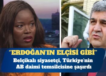 AP üyesi Belçikalı siyasetçi, Türkiye’nin AB daimi temsilcisinin ”Erdoğan’ın elçisi gibi” konuşmasına şaşırdı