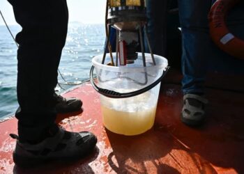 Marmara’da müsilaj yaza doğru yoğunlaşabilir