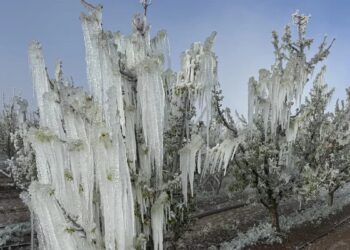 Zirai don için araştırma komisyonu kuruldu