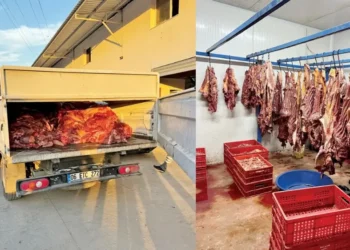 Adana’da bir evin alt katında 2,5 ton at eti bulundu